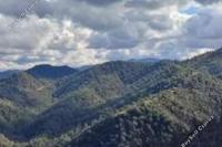 8732 SQM Land · Pigenia (Nicosia) for sale 