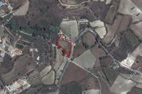 2342 SQM Land in Stroumbi (Paphos) for sale 