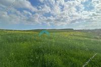 14382 SQM Land in Geri (Nicosia) for sale 