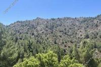 23895 SQM Land in Gourri (Nicosia) for sale 