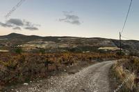 4683 SQM Land · Omodos (Limassol) for sale 
