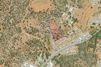 7024 SQM Land in Pyrgos Limassol (Limassol) for sale 