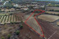3679 SQM Land in Lasa (Paphos) for sale 