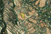 7024 SQM Land in Drynia (Paphos) for sale 