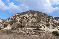 16054 SQM Land · Akoursos (Paphos) for sale 