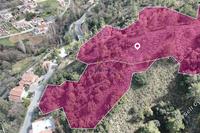 17057 SQM Land in Kakopetria (Nicosia) for sale 