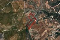 162562 SQM Land in Neo Chorio (Paphos) for sale 