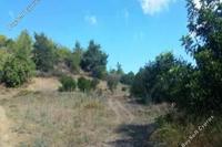 4683 SQM Land in Peristerona Pafou (Paphos) for sale 