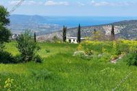 23000 SQM Land in Chrysochou (Paphos) for sale 
