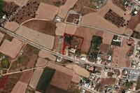 5982 SQM Land in Avgorou (Famagusta) for sale 