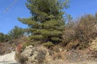 3011 SQM Land · Kyperounta (Limassol) for sale 