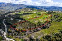 12041 SQM Land in Salamiou (Paphos) for sale 