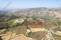13379 SQM Land · Dora (Limassol) for sale 