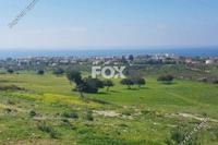 12496 SQM Land · Peyia (Paphos) for sale 