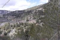14931 SQM Land in Prodromos (Limassol) for sale 