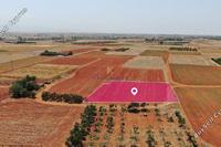 1872 SQM Land · Palaiometocho (Nicosia) for sale 