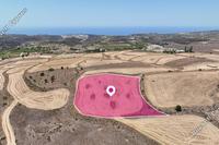 5352 SQM Land in Kathikas (Paphos) for sale 