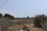 6689 SQM Land in Agios Theodoros Larnacas (Larnaca) for sale 