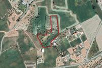 12208 SQM Land in Mazotos (Larnaca) for sale 