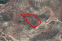 10368 SQM Land in Pachna (Limassol) for sale 