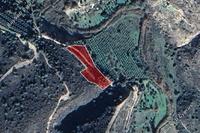 4014 SQM Land · Kato Drys (Larnaca) for sale 
