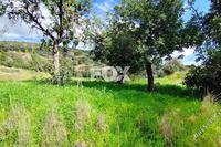 7693 SQM Land in Asgata (Limassol) for sale 