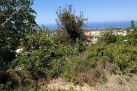 6247 SQM Land in Tala (Paphos) for sale 