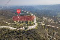 50837 SQM Land in Ora (Larnaca) for sale 