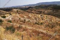 6522 SQM Land in Vouni (Limassol) for sale 