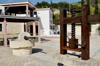 48250 SQM Land in Steni (Paphos) for sale 