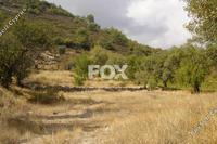 6523 SQM Land · Pera Pedi (Limassol) for sale 