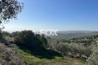1673 SQM Land in Psathi (Paphos) for sale 
