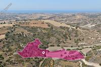 19399 SQM Land in Choli (Paphos) for sale 