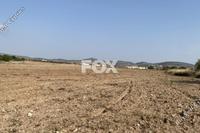 6700 SQM Land in Anarita (Paphos) for sale 
