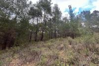 3011 SQM Land · Kaliana (Nicosia) for sale 