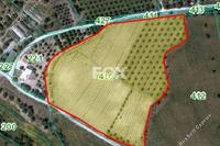 12170 SQM Land in Makounta (Paphos) for sale 