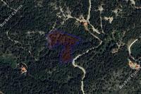 10034 SQM Land in Pelendri (Limassol) for sale 