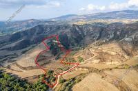 20736 SQM Land · Giolou (Paphos) for sale 