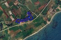 32108 SQM Land · Mazotos (Larnaca) for sale 