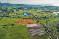 13284 SQM Land · Kalavasos (Larnaca) for sale 