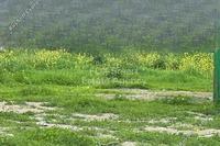 1005 SQM Plot in Sotiros Agios Ioannis Larnaca (Larnaca) for sale 