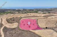 5352 SQM Land in Kathikas (Paphos) for sale 