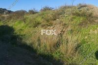 22105 SQM Land · Monagroulli (Limassol) for sale 