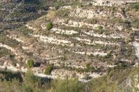 10034 SQM Land · Pachna (Limassol) for sale 