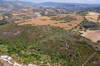 8280 SQM Land · Kritou Tera (Paphos) for sale 