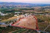 13676 SQM Land in Prodromi (Paphos) for sale 