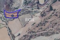 6727 SQM Land in Amargeti (Paphos) for sale 