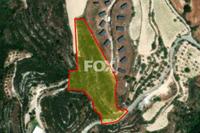9365 SQM Land in Tsada (Paphos) for sale 