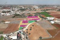 8346 SQM Land in Xylofagou (Larnaca) for sale 