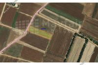 4191 SQM Land in Ormideia (Larnaca) for sale 